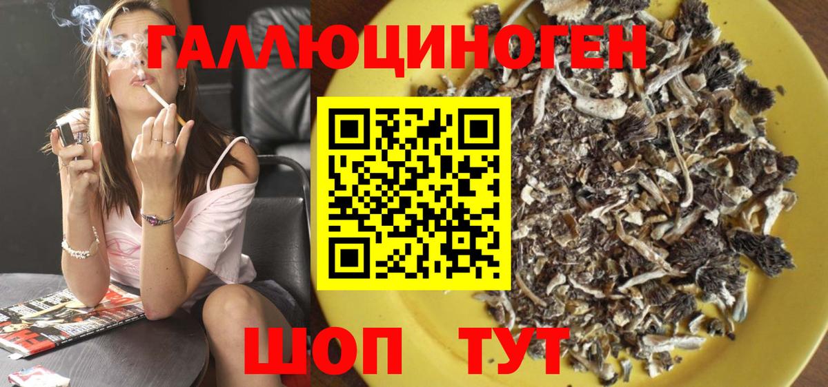 Донской  Псилоцибиновые грибы мухоморы  Псилоцибиновые грибы MAGIC MUSHROOMS  Вход с VPN 